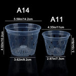 pots semis transparents perforés pratique plateau fleur verte plastique moderne