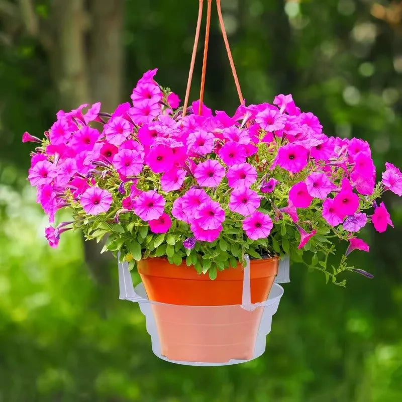 support plante suspendue transparent moderne rainuré chaîne métallique jardin décoration fleur