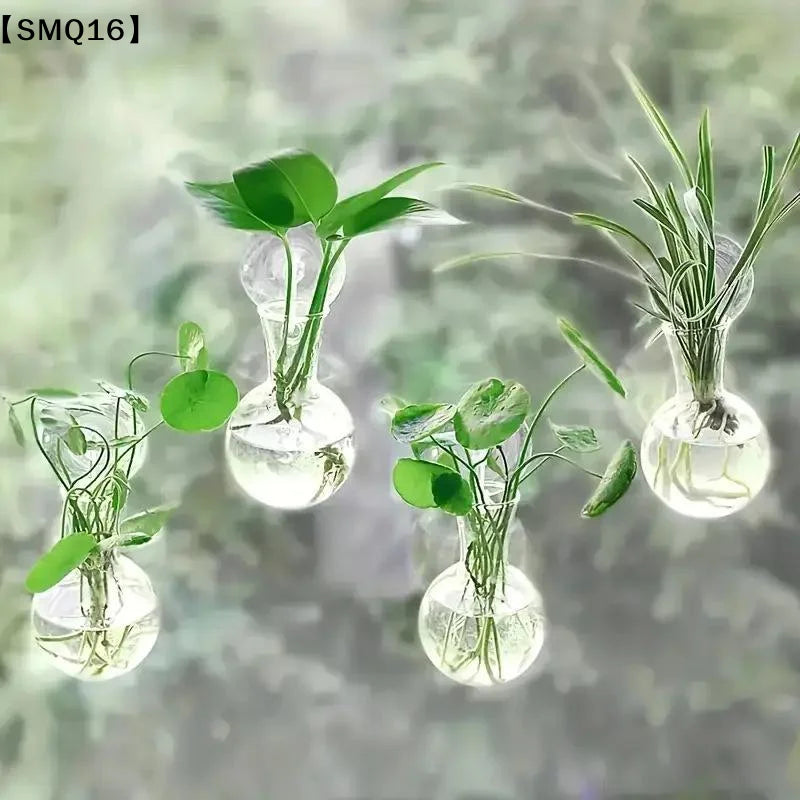 vases suspendus verre transparent adhésifs modernes minimalistes decoration intérieure plantes naturelle ambiance relaxante 3pces