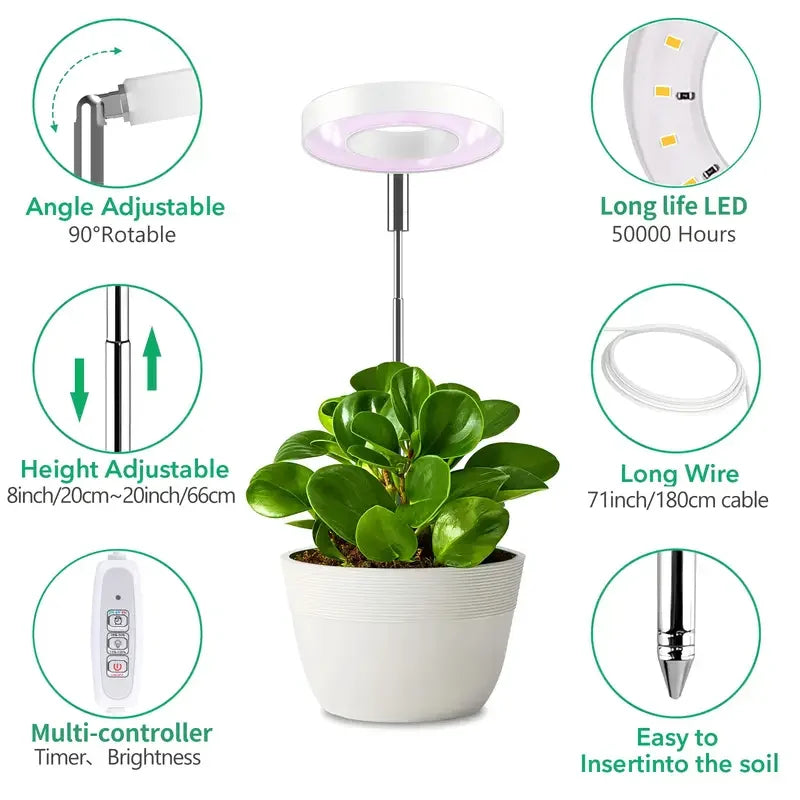 lampe led plante réglable hauteur blanc moderne piquet câble usb contrôle multi fonction 8h