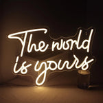 enseigne lumineuse néon carte monde THE WORLD IS YOURS bleu rose blanc fixations intérieur
