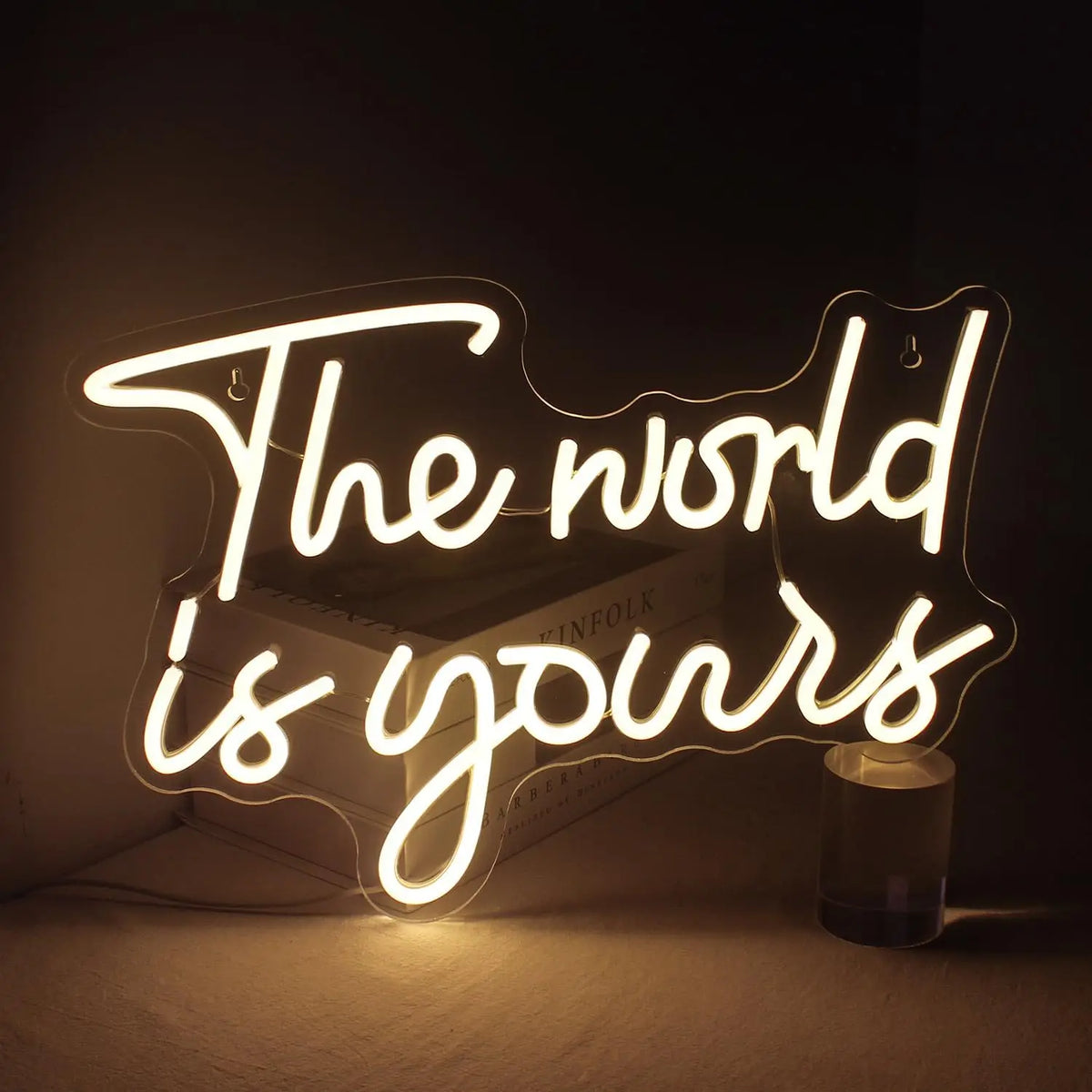 enseigne lumineuse néon carte monde THE WORLD IS YOURS bleu rose blanc fixations intérieur