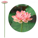 fleur artificielle lotus tige longue décoration intérieure vert rose blanc naturel détaillé Pods Feuilles