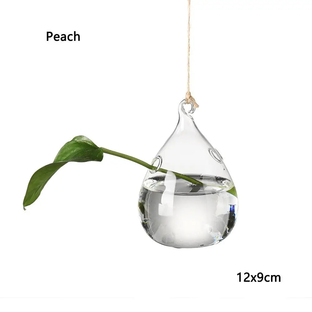vases suspendus verre transparent motifs oiseaux coeurs plantes vertes minimaliste terrarium hydroponie