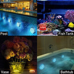 lampe led submersible transparente moderne points lumineux piscine decoration noel mariage