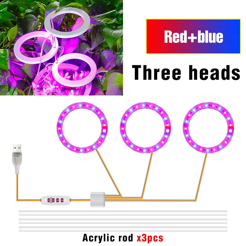 lumière croissance led usb 5v pink red blue sunlight controle remote moderne hydroponique