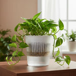 pots plantes auto arrosants résine translucide couleurs blanc vert jaune nervures vintage