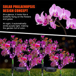 Lampe solaire Phalaenopsis vue de profil