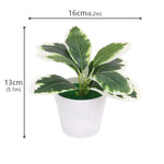 plantes artificielles vertes pot feuilles simples moderne décoration intérieure table ordinateur