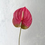 fleurs artificielles anthurium rouge vert rose blanches décoration moderne mariage intérieur decoration capitule plastique