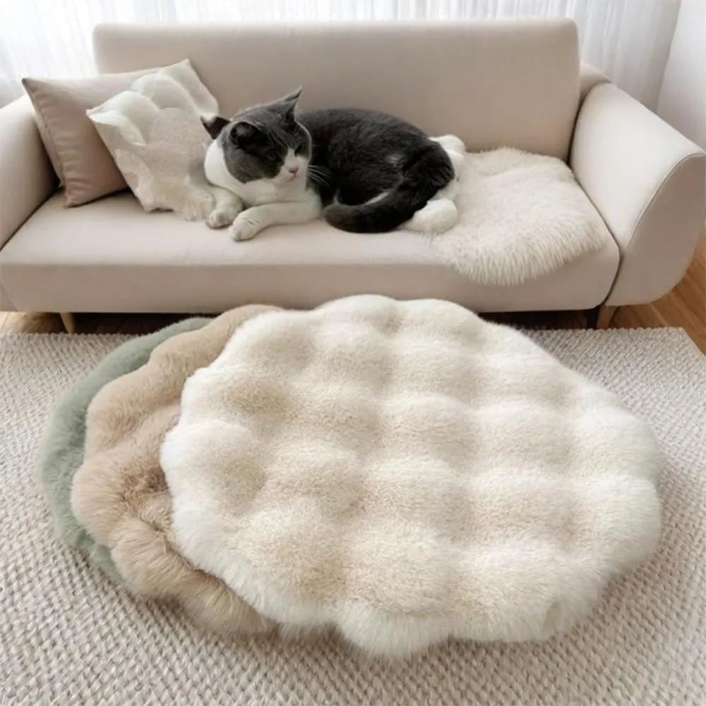 coussin doux pelucheux animaux compagnie moderne beige vertclair blanc
