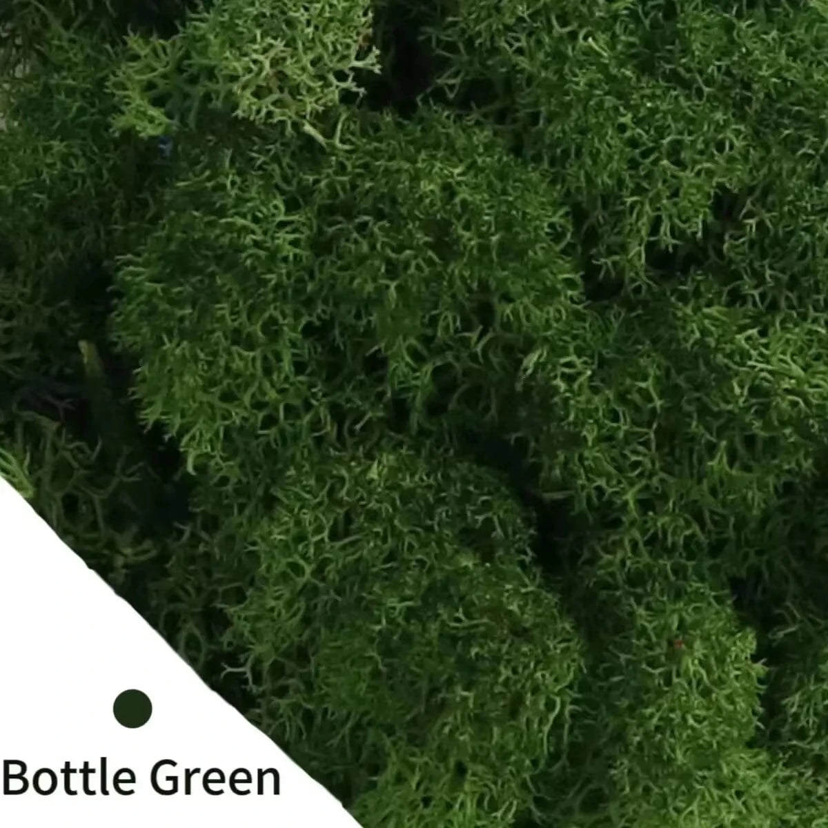 mousse séchée naturelle herbe artificielle décoration jardin boîte rangement couleurs variées rustique extérieur