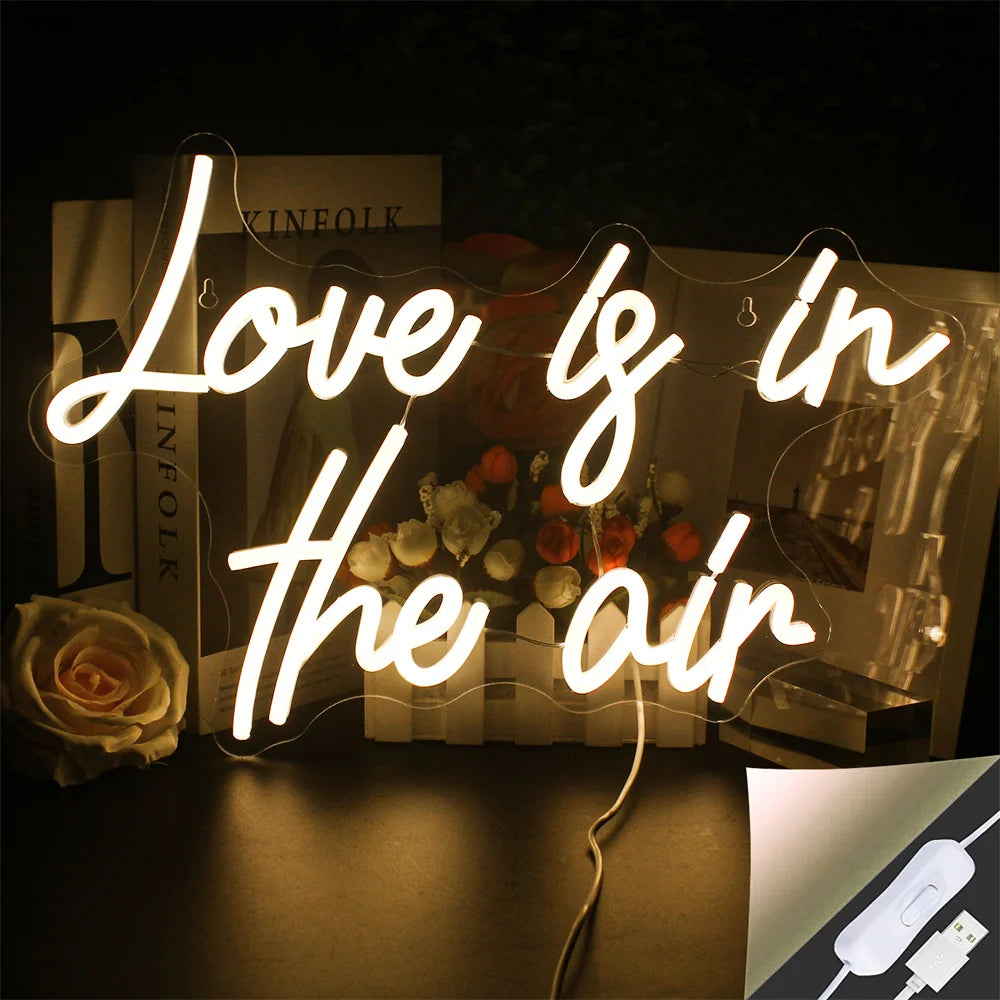 néon lumineux Just Married moderne transparent câble USB multicolore blanc roseDecorationMurialePartie