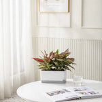 cache pot moderne blanc bleu clair uni opaque adhésif intérieur fleuri verte simple