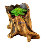 jardinière cache pot tronc arbre marron rustique plante succulente texture bois naturelle balcon jardin