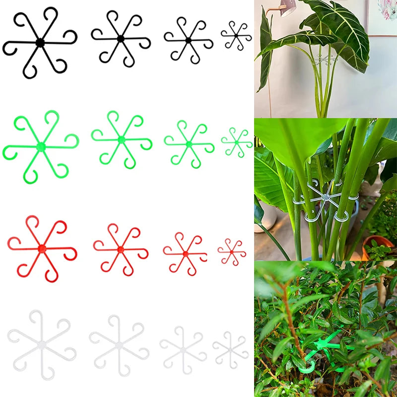 clips plante réutilisables différents diamètres noir vert rouge moderne minimaliste