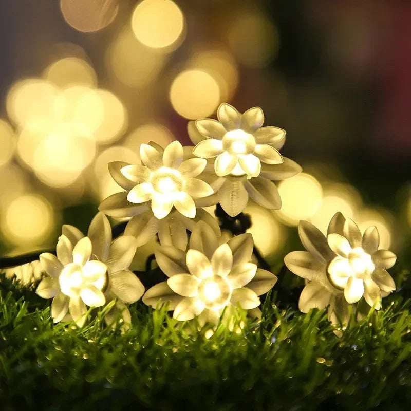 guirlande lumineuse solaire fleurs stylisées violet bleu vert jaune blanc moderne clips sol