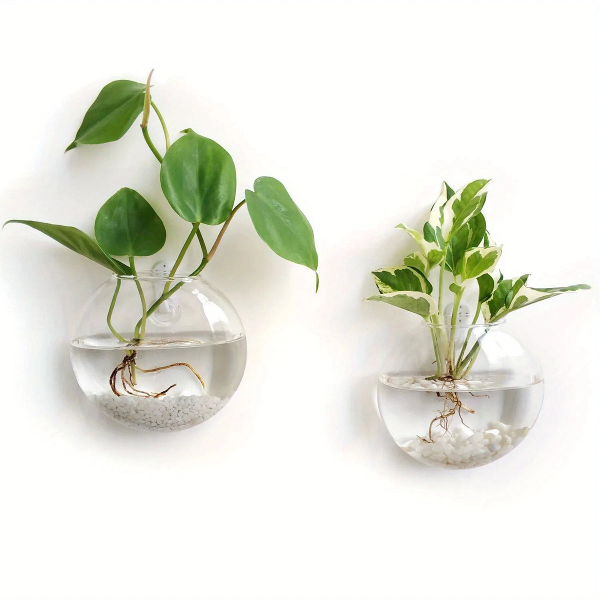 vase mural verre transparent moderne minimaliste auto arrosant plante muriale adhésif sable blanc chambre