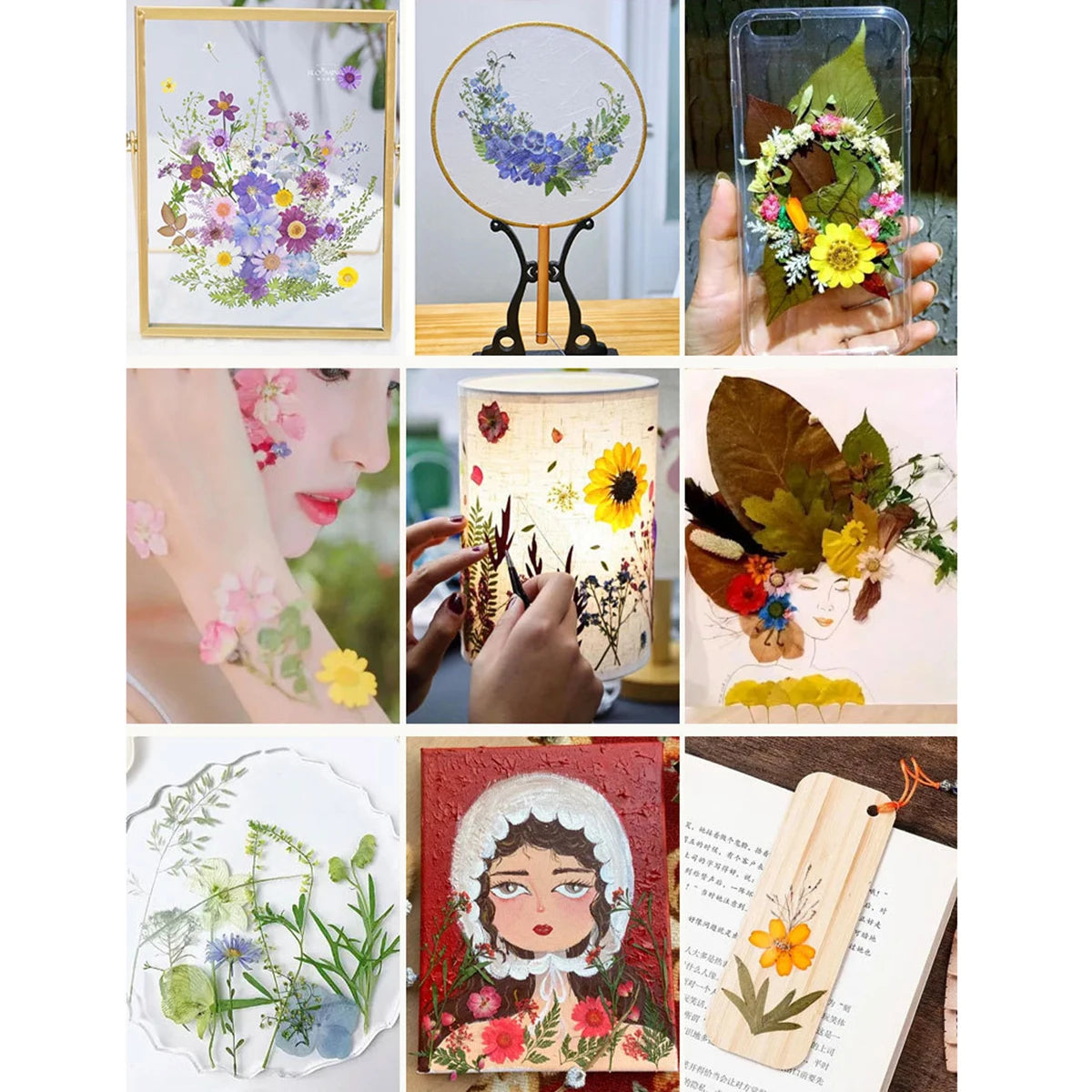 fleurs séchées plantes écologiques intérieur anniversaire baby shower exposition minimalistes cartes postales ornementales fixations