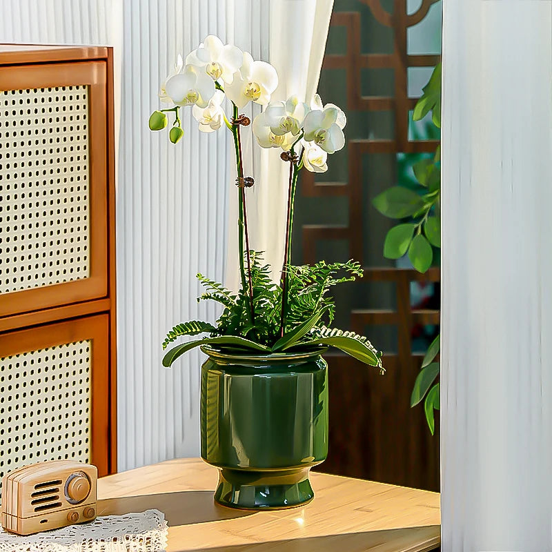 Un bouquet d'orchidées blanches épanoui dans un pot en céramique vert, posé sur une table en bois près d'un meuble vintage.