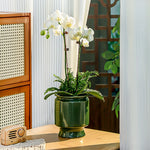 Un bouquet d'orchidées blanches épanoui dans un pot en céramique vert, posé sur une table en bois près d'un meuble vintage.