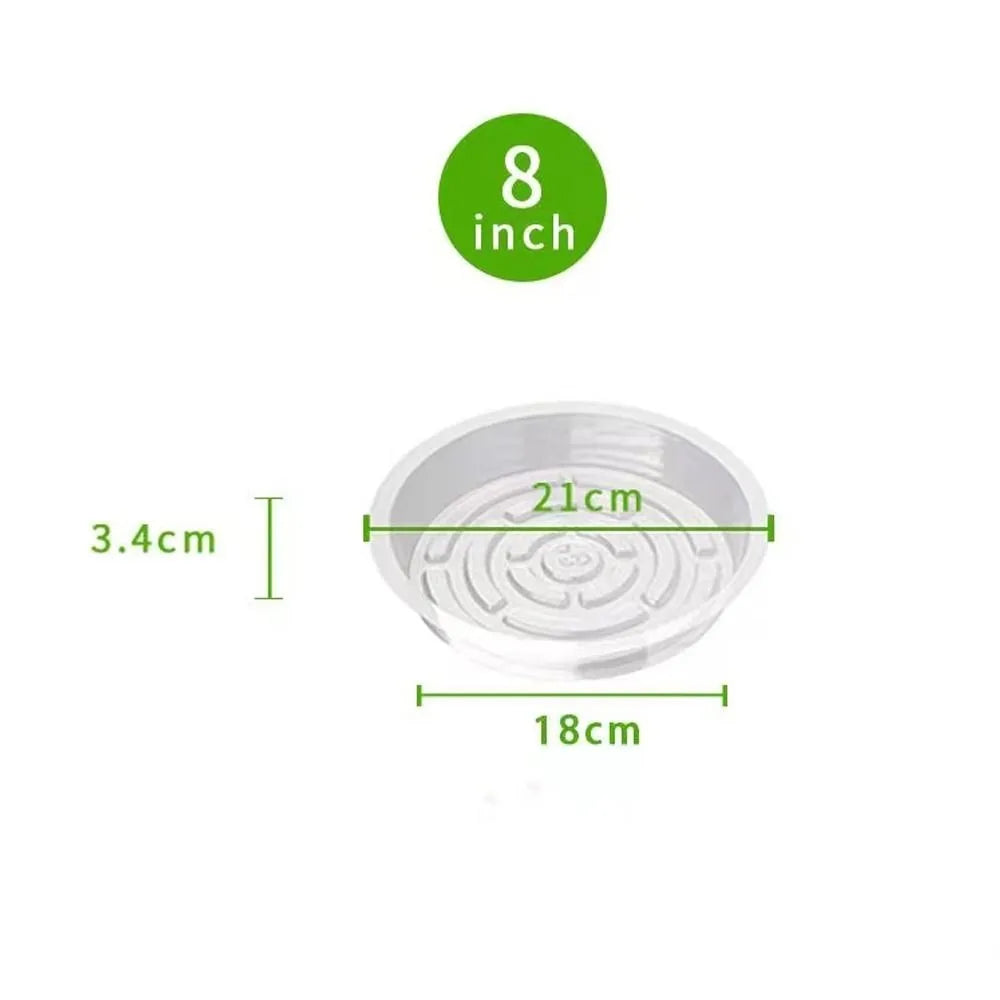 plateau plante transparent moderne 10 12 pouces adhésif concentrique rayures