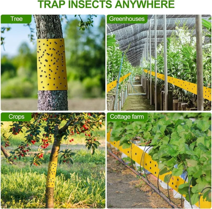 adhésif anti insectes protection arbres serre céréaliers bandes jaunes fourmis mouches moustiques