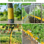 adhésif anti insectes protection arbres serre céréaliers bandes jaunes fourmis mouches moustiques