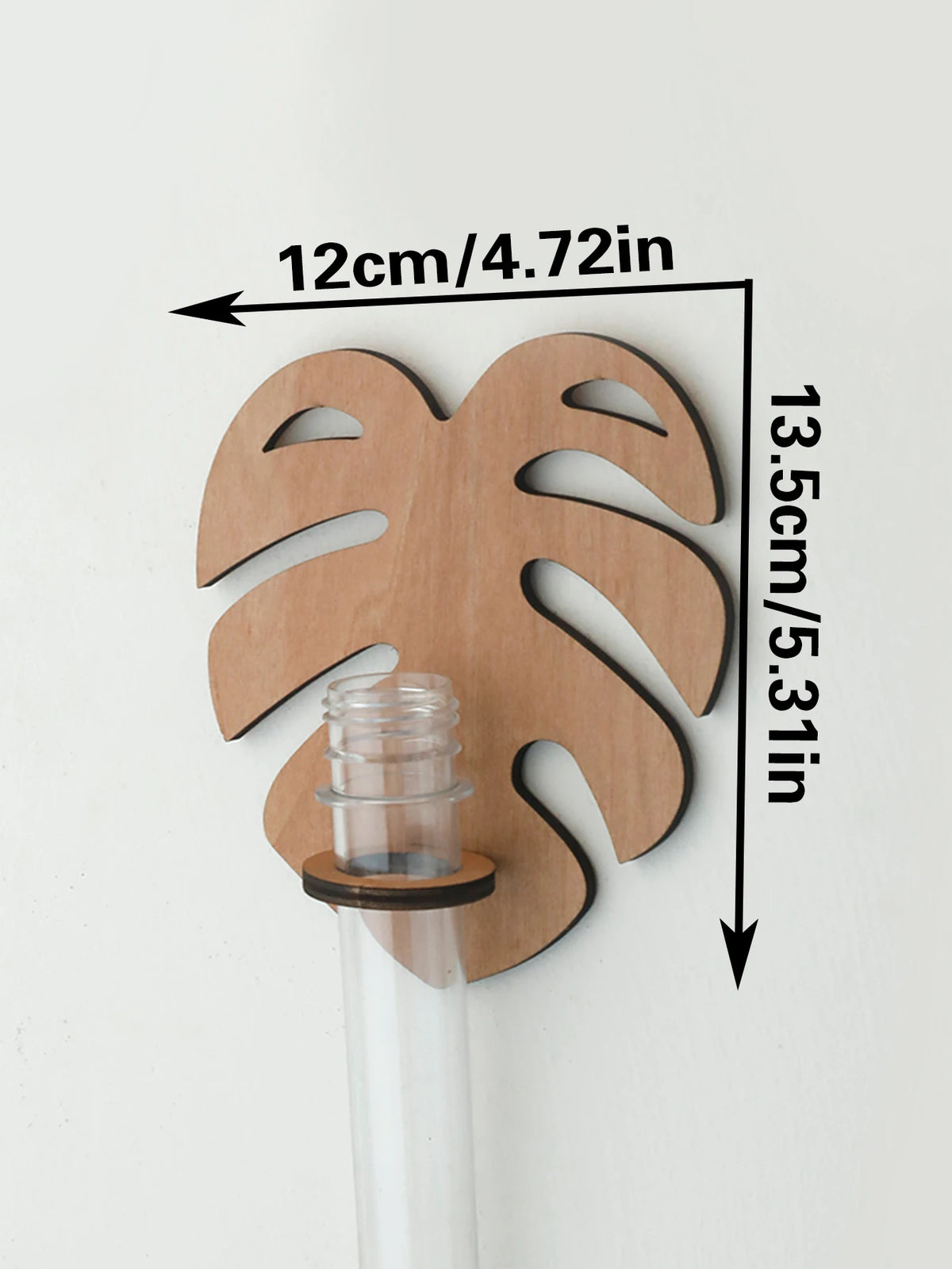 Support mural moderne feuille Monstera clips métalliques plante verte tube verre transparent chambre salon