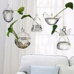 vase suspendu verre transparent moderne plante hydroponique décoration intérieure minimaliste fixations cordelette portable terrarium