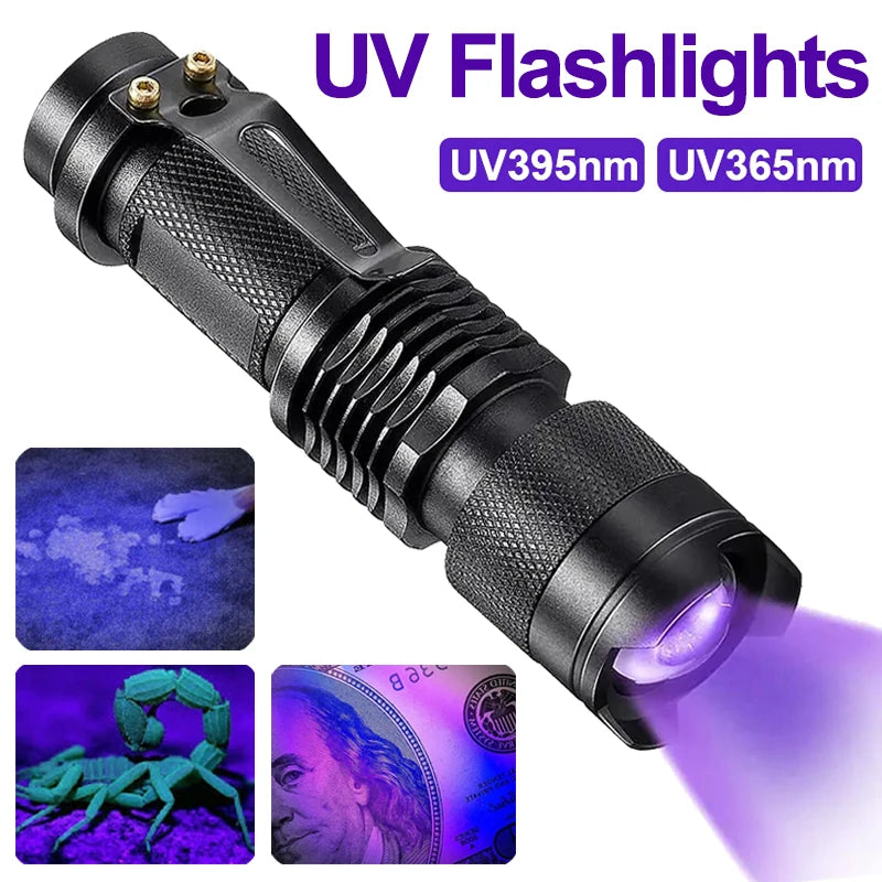 lampe torche uv portative 365nm 395nm zoomable étanche animaux scorpions billets fluorescence