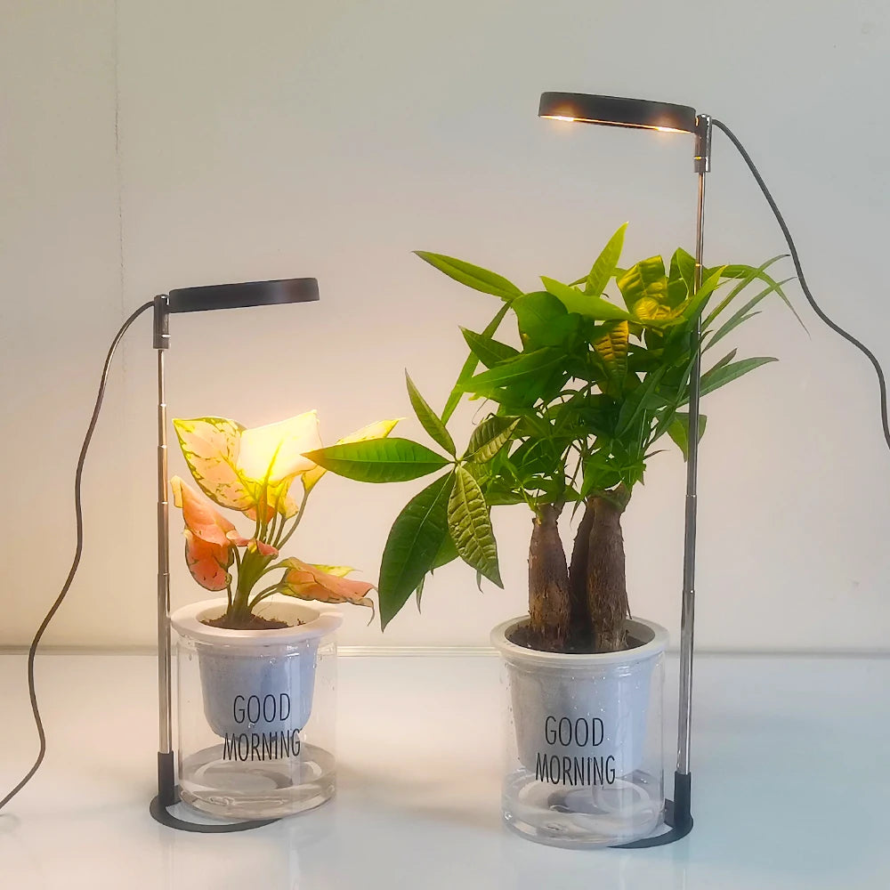 lampe led croissance plante noir gris moderne réglable usb intelligent