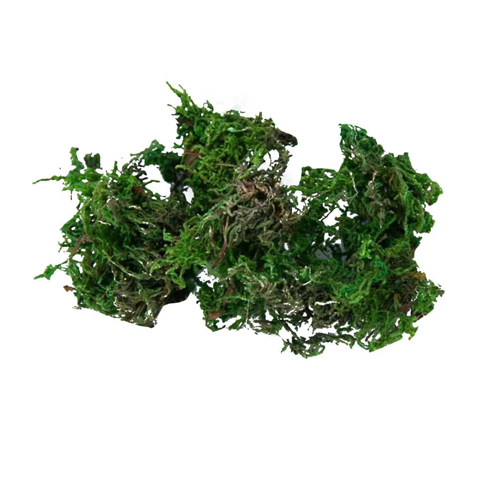 mousse artificielle verte feuillue decoration jardin pot fleurs ornement miniature base pelouse naturelle paysage