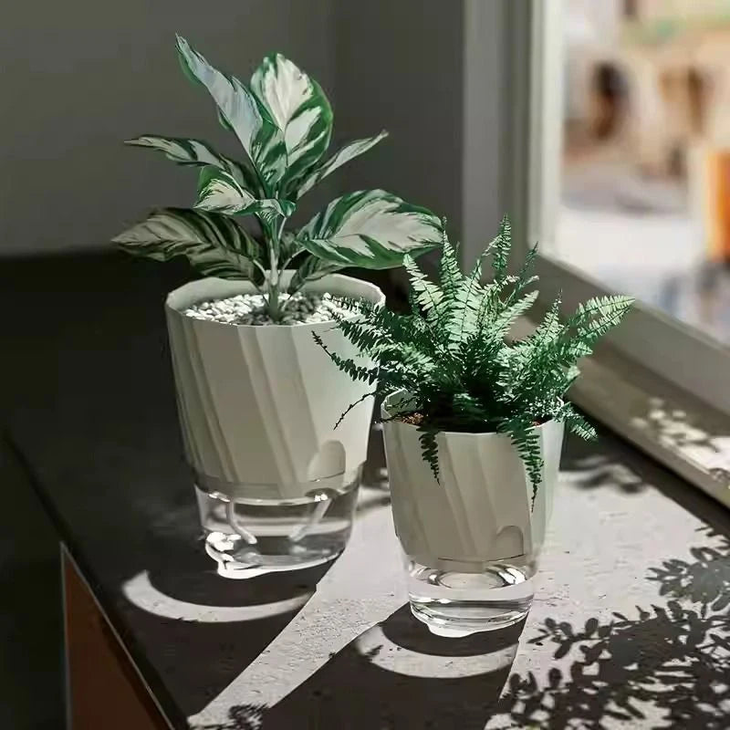 pots plantes transparents moderne minimaliste blanc rose gris rayures diagonales matériau plastique absorption d'eau