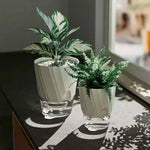 pots plantes transparents moderne minimaliste blanc rose gris rayures diagonales matériau plastique absorption d'eau