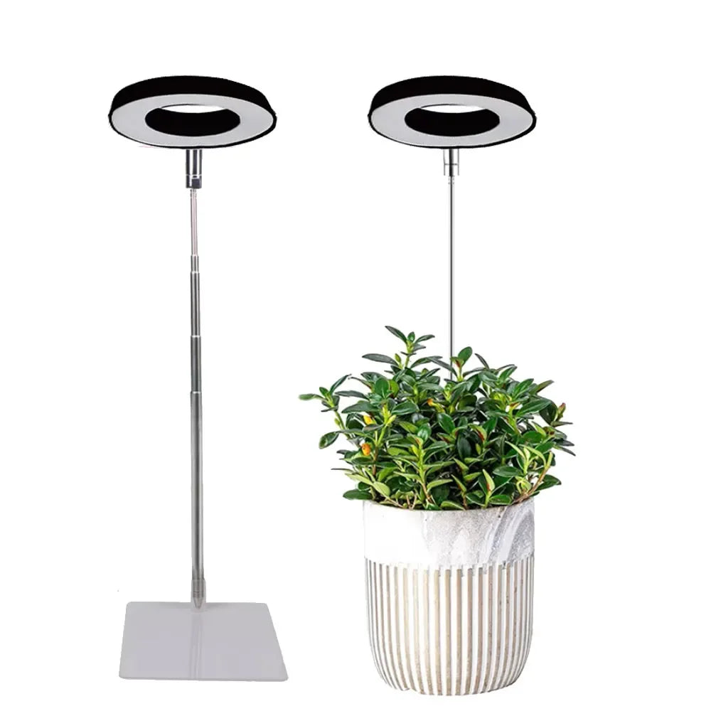 lampe led plante noire blanche rose moderne minimaliste réglable usb autonomie