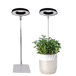 lampe led plante noire blanche rose moderne minimaliste réglable usb autonomie