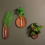vase mural bois transparent décoration naturelle moderne fleurs plantes murales minimaliste
