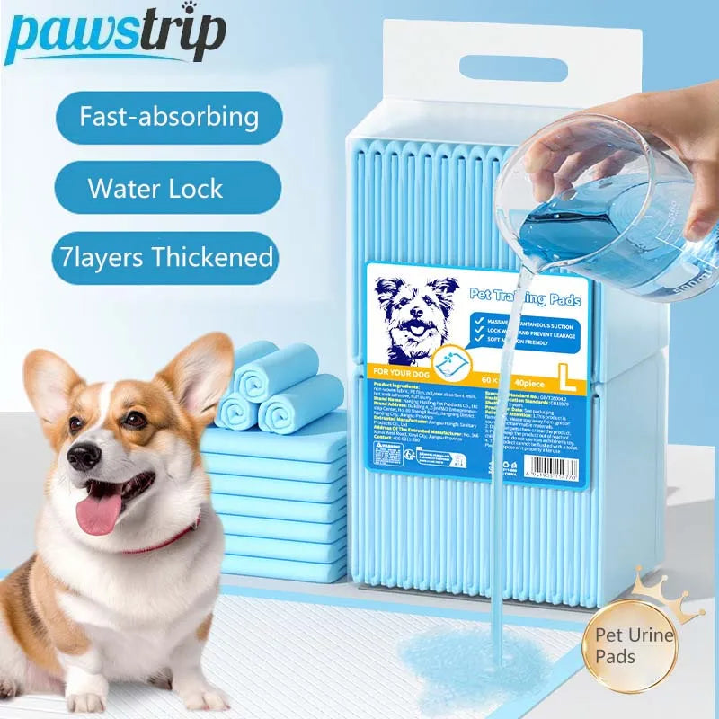 tapis d'entraînement chiens bleu clair moderne absorbant rapide taille xl