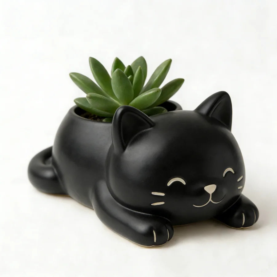 cache pot forme chat blanc noir gris moderne plante succulente doux mignonintérieur decoration