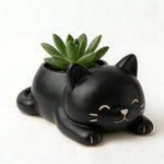 cache pot forme chat blanc noir gris moderne plante succulente doux mignonintérieur decoration