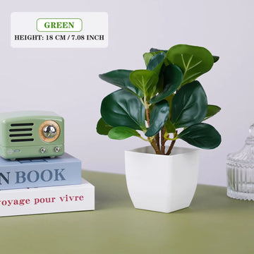 décoration intérieure artificiel bonsaï feuilles vertes pot carré mousse verte classiqueextérieur