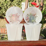 pots fleurs modernes transparents plastique grille tailles adhésif support fleur couvercle