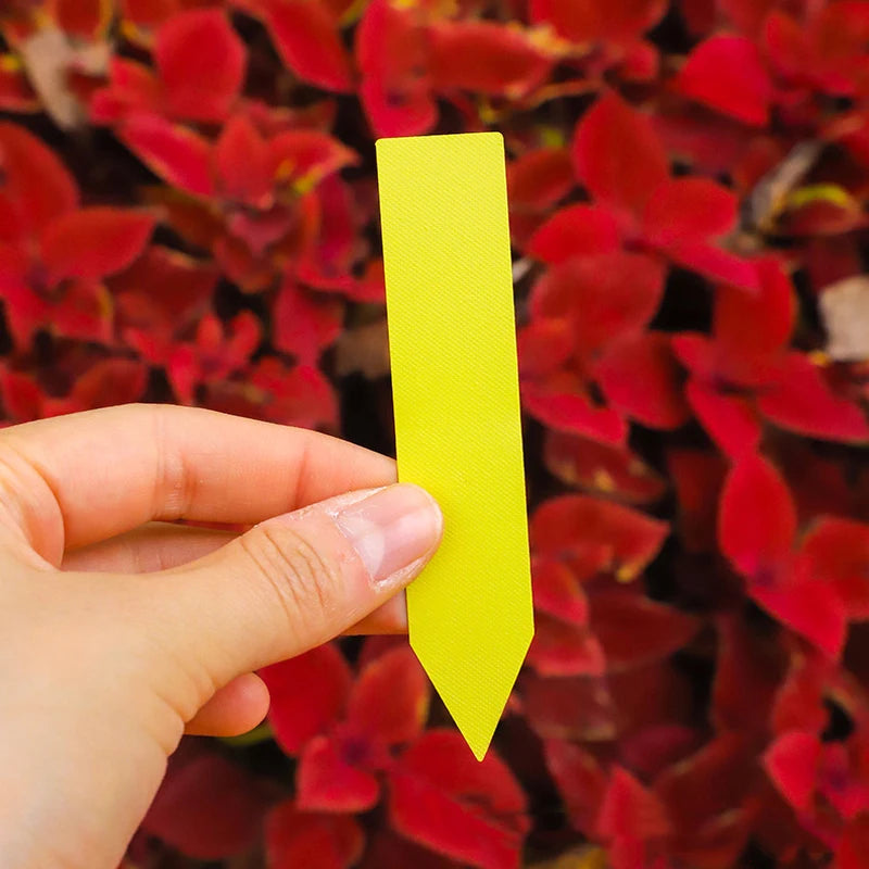 étiquettes jardinage adhésives blanc jaune vert rose bleu rouge classiques 1cm 5cmétaqs jardinétaqs horticolesétaqs
