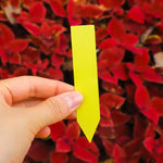 étiquettes jardinage adhésives blanc jaune vert rose bleu rouge classiques 1cm 5cmétaqs jardinétaqs horticolesétaqs