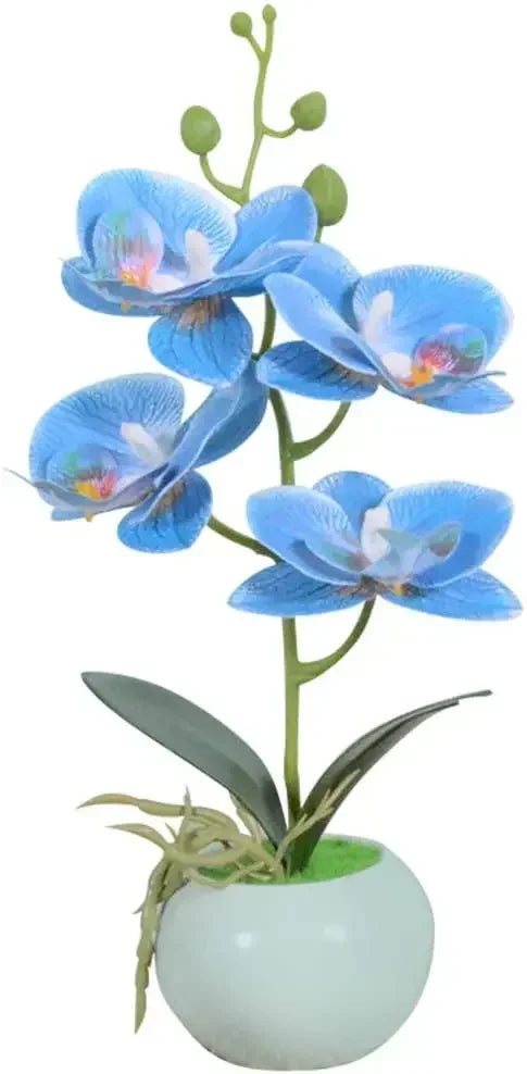 orchidée artificielle pot céramique bleu clair fleurs feuilles vertes moderne sans entretienintérieur décoration minimalistephalaenopsis