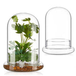 terrarium moderne transparent verre base vase plantes maison cloche