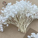 bouquets fleurs séchées blanches décoration intérieure anniversaire mariage baby shower pendaison crémaillère