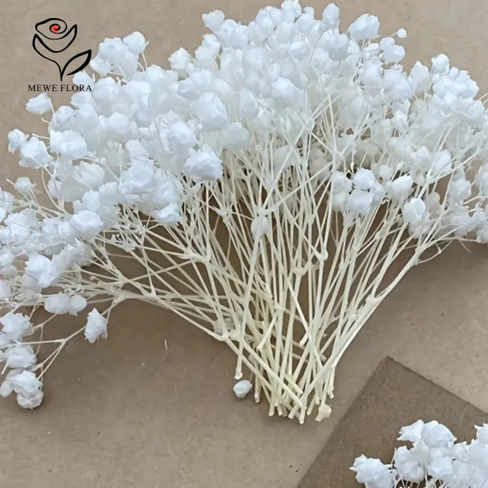 bouquets fleurs séchées blanches décoration intérieure anniversaire mariage baby shower pendaison crémaillère