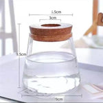vase verre transparent moderne plante verte minimaliste bois naturel rond simple